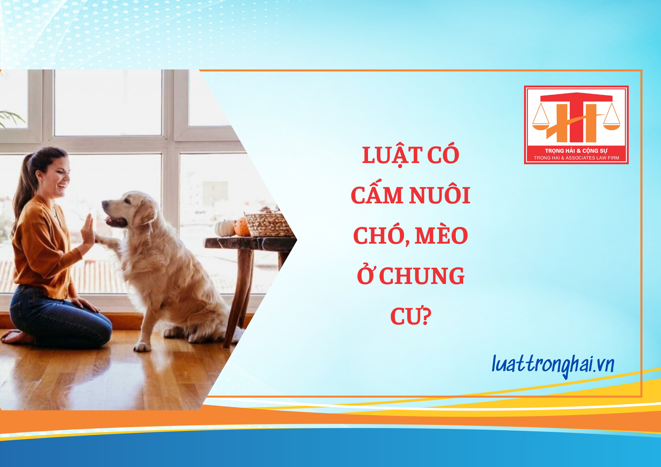 LUẬT CÓ CẤM NUÔI CHÓ, MÈO Ở CHUNG CƯ?