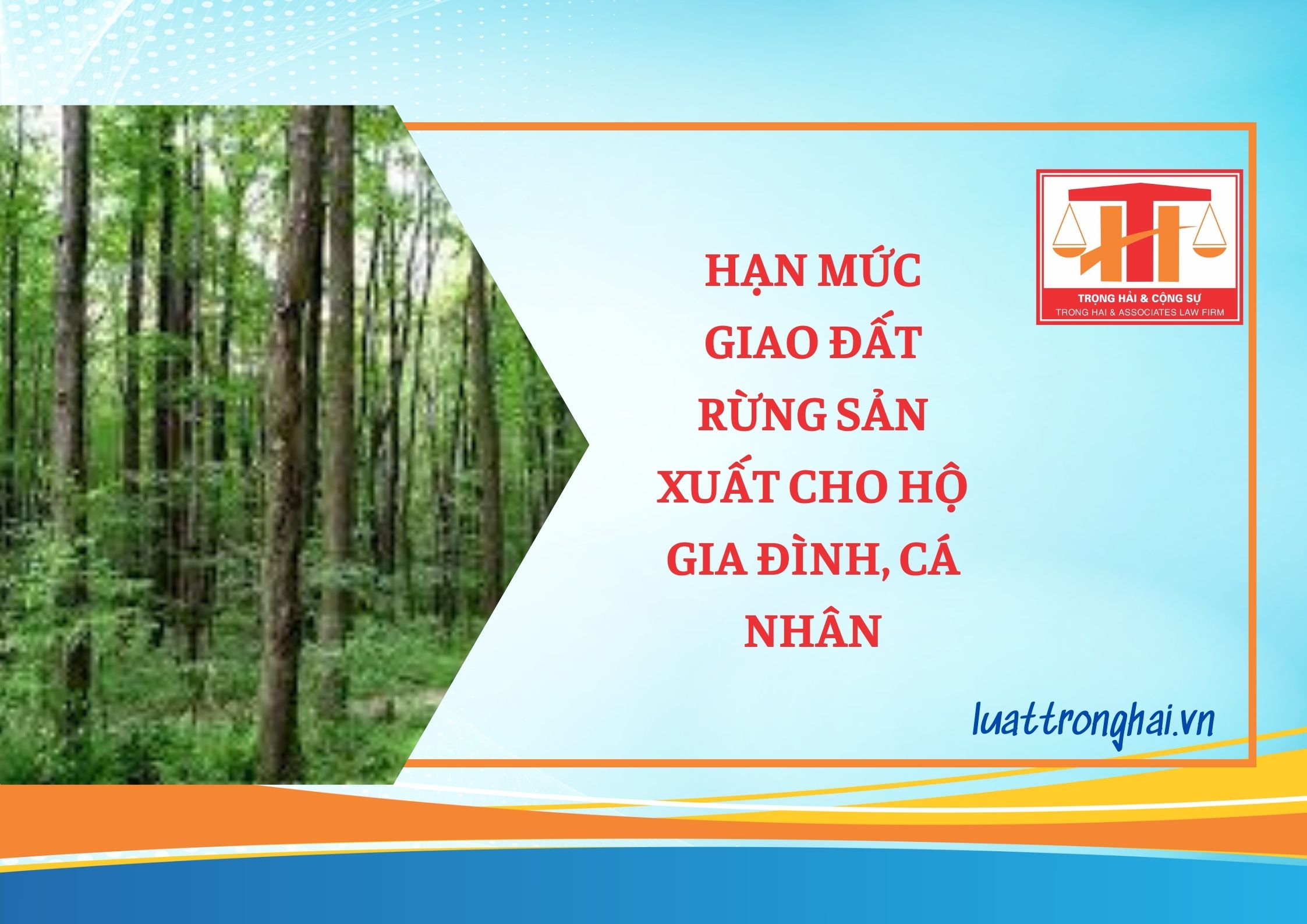 HẠN MỨC GIAO ĐẤT RỪNG SẢN XUẤT CHO HỘ GIA ĐÌNH, CÁ NHÂN